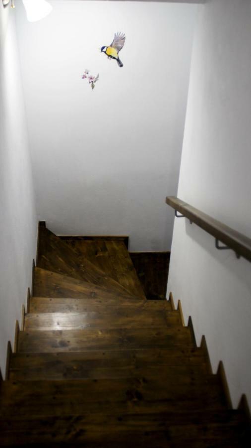 Anemona'S House In The Center Of Sibiu Villa Exterior photo
